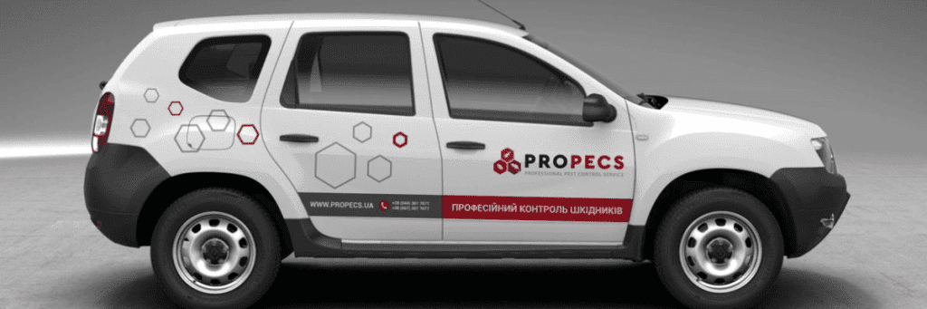 Car Sticker Printing